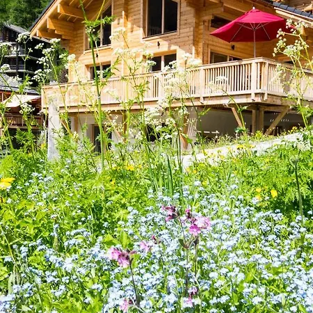 Alpehytte Chalet Papagna *