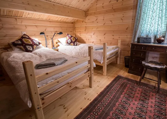 Dağ evi Papagna Zinal